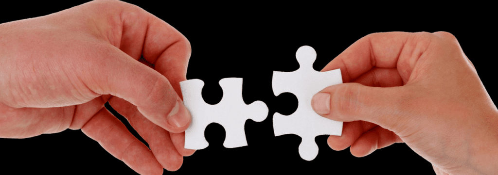 DVS Interoperability illustrated as fitting puzzle pieces together.