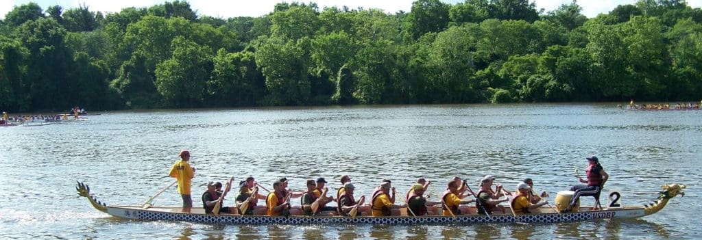 Dragon Boat using teamwork to stay in sync